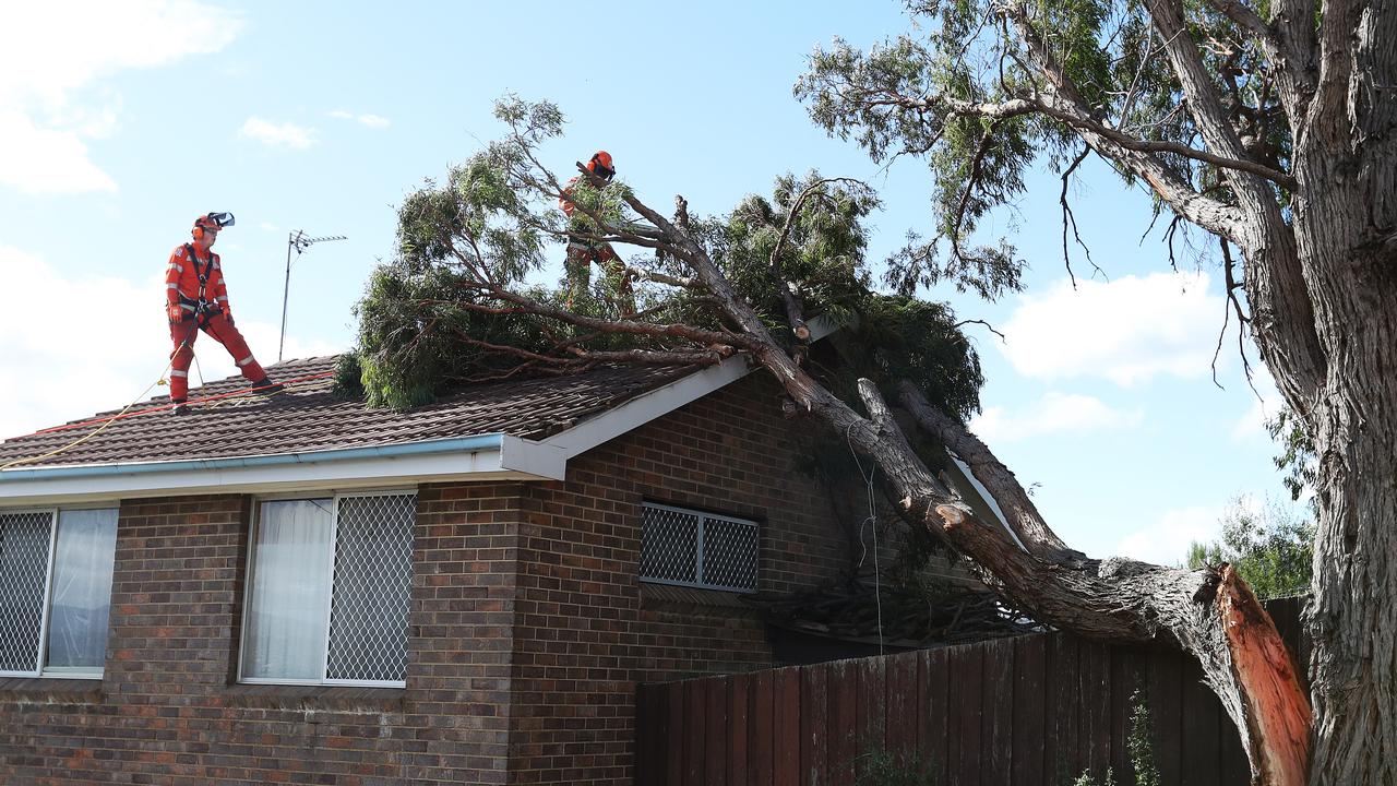 Severe Weather Warning Issued For Damaging Winds Across Tasmania The Mercury