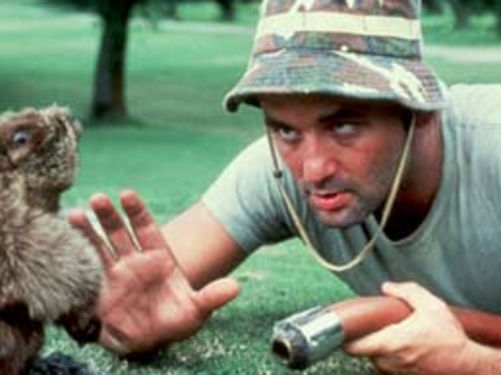 Bill Murray in a scene from the 1980 film Caddyshack.