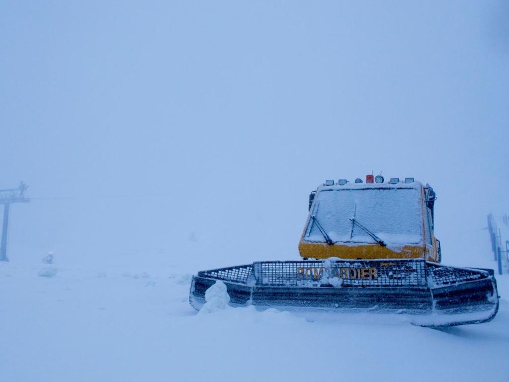 Around 20cm of fresh snow fell in Perisher overnight. Picture: Perisher Ski Resort