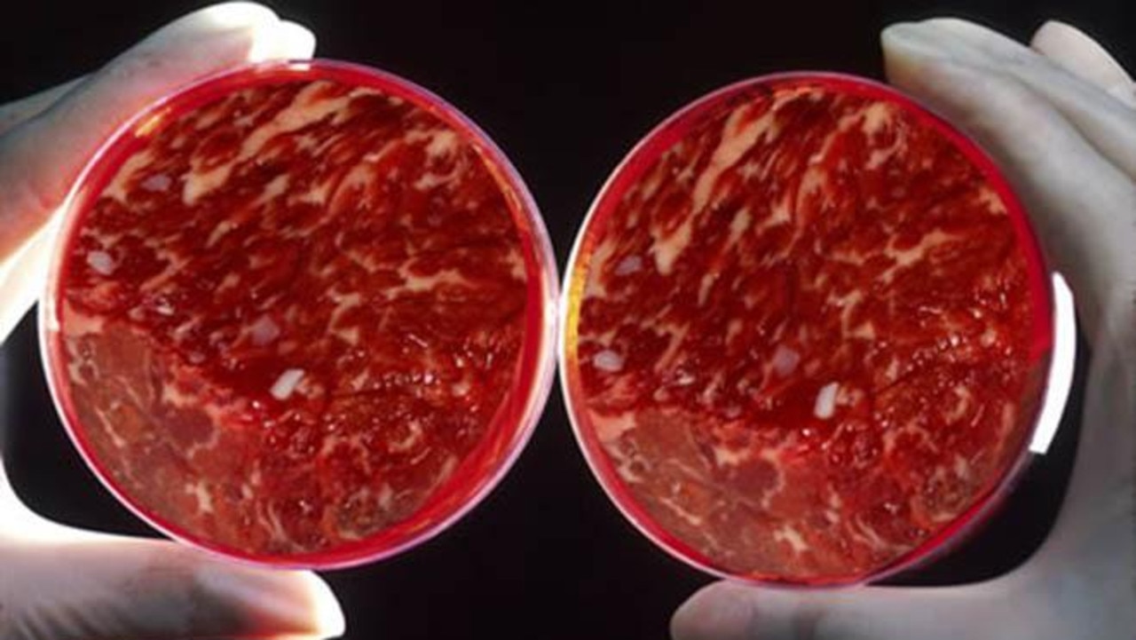 Scientists are getting better at reproducing meat in labs from animal stem cells.