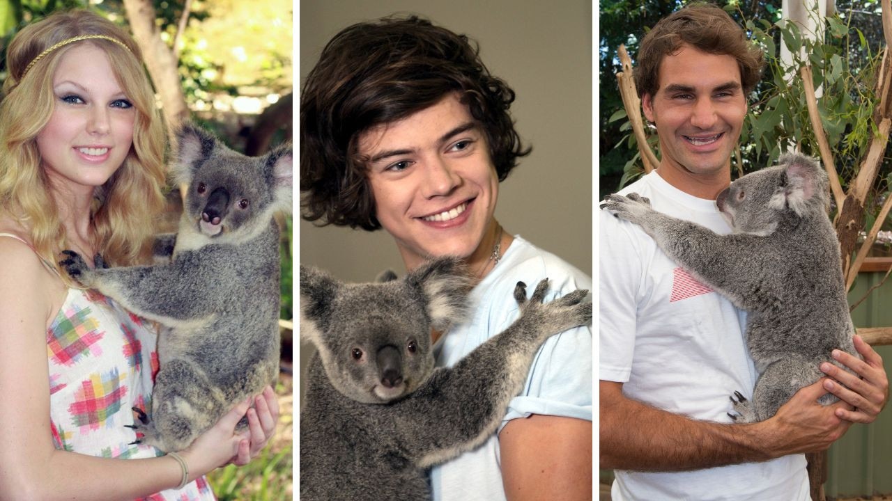 Aussies blast ban on koala cuddles as ‘load of woke rubbish’