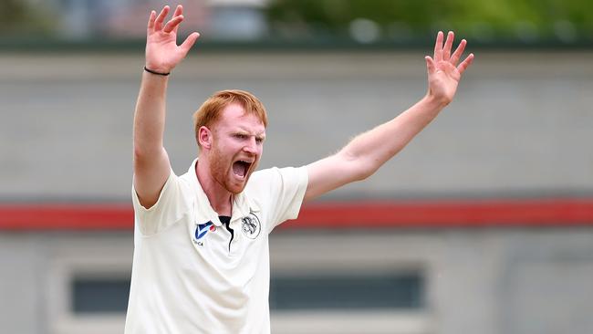 Dan Houghton appeals for a wicket for Brunswick. Picture: Josh Chadwick