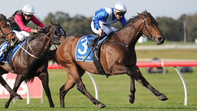 Tough frontrunner Alligator Blood will resume against Mr Brightside in Saturday’s Group 1 Memsie Stakes. Picture: Racing Photos via Getty Images.