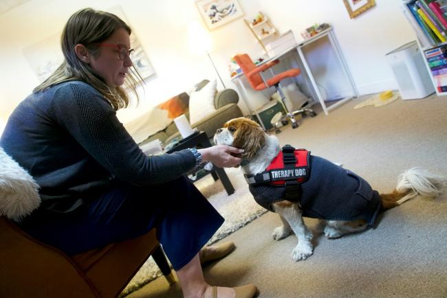 Sonnet Daymont uses her dog Mobius, a Cavalier King Charles spaniel who himself survived a wildfire, to help treat people who have experienced trauma