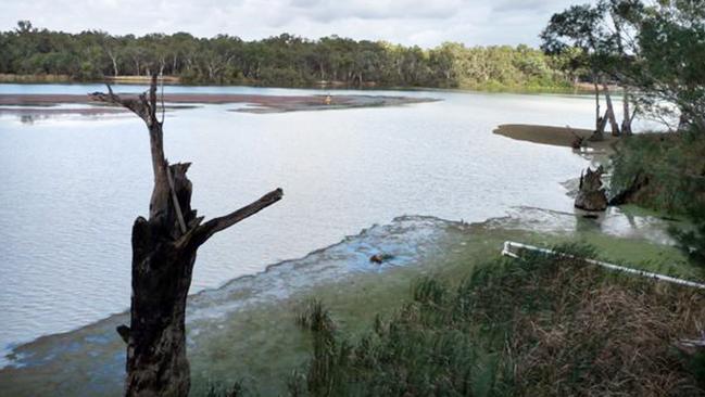 One Nation and Senator David Leyonhjelm will attempt to block part of the Murray Darling Basin Plan.