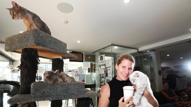 Surfers Paradise’s Crazy Cat Cafe owner Jackie Moureau with Andy the Tundra Cat. Photograph: Jason O’Brien.