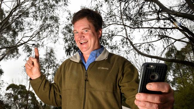 Russell Latter points to the koala he snapped on his iPhone at Stirling. <span id="U613821656415szD" style="font-family:'Guardian Sans Regular';font-weight:normal;font-style:normal;"><b><b>Picture: <span id="U6138216564157hH" style="text-transform:uppercase;">Tricia Watkinson</span></b></b></span>