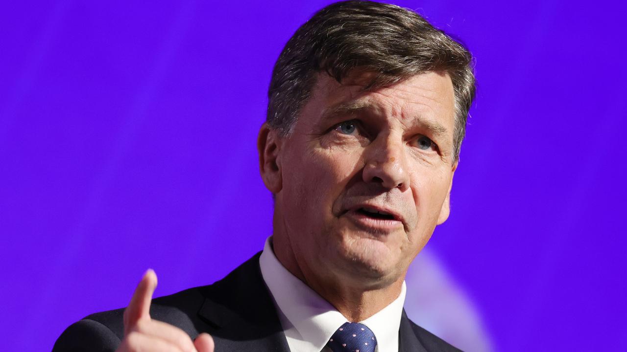 ‘Back in the fight’: Taylor’s bid to lead Libs