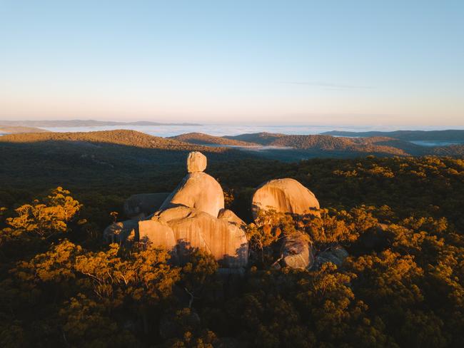 Girraween National Park Image: Tourism and Events Queensland