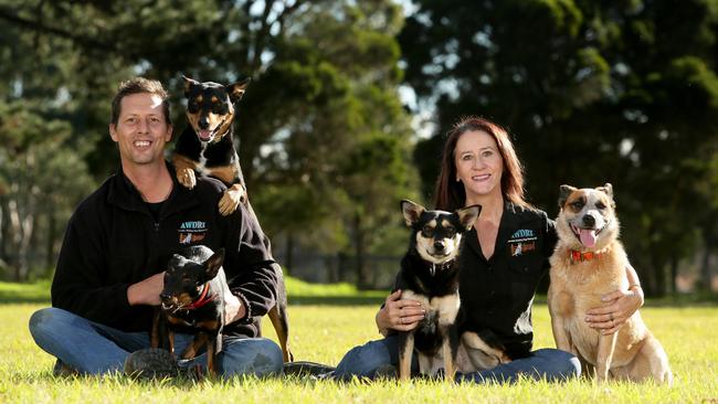 Carey and Di Edwards with Spook, Nimble, Tricky and Pudding of the Australian Working Dog Rescue.