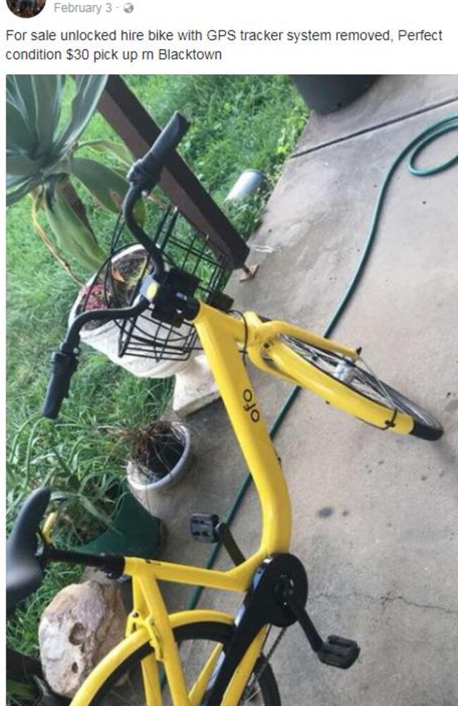 A man selling an O-Bike for $30.