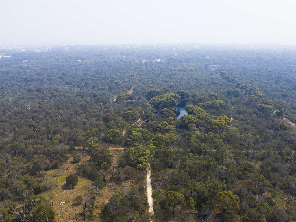 findtoprealestate | Ocean Grove Nature Reserve: Coastal Reserve and Birdwatching