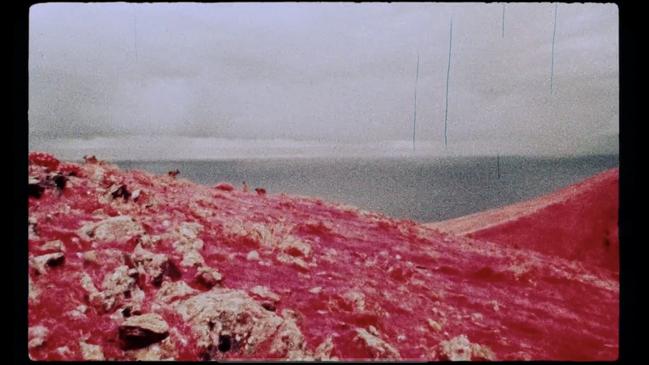 Kraehenbuehl spent roughly $4000 on discontinued Kodak Aerochrome. Picture: Supplied