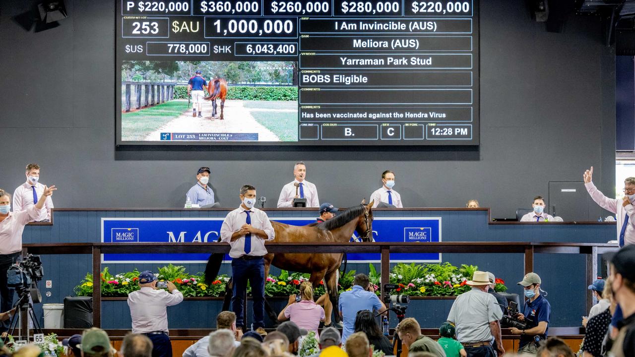 Action from the Magic Millions sales. Picture: Luke Marsden.