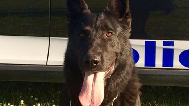 In recovery: PD Kane. Picture: Facebook/NSW Police Force