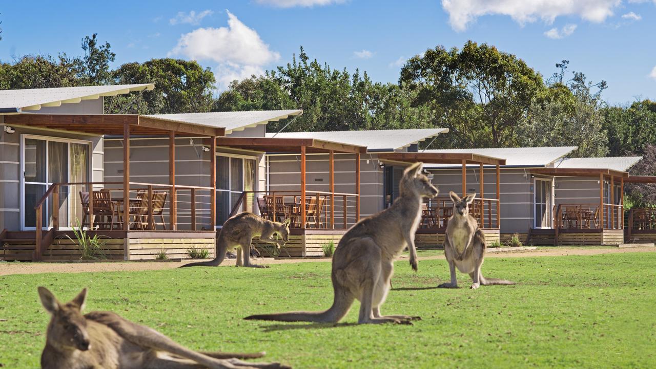 Best Caravan Parks Australia Discovery Parks Glamping Escape