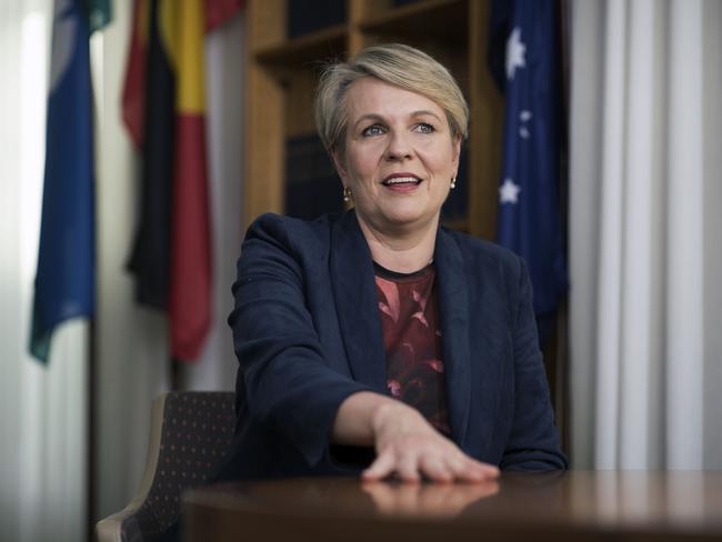 Environment Minister Tanya Plibersek says an increase to the migration cap could be a short-term solution to the dearth of skilled workers in Australia. Picture: NCA NewsWire / Gary Ramage