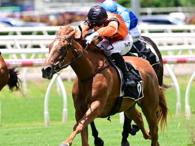 Dushenka caused a boilover of epic proportions in the opener at Eagle Farm on Saturday Picture: Grant Peters - Trackside Photography