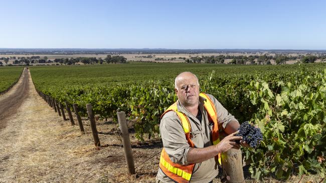 Colbinabbin Estate vineyard manager Colin Neate. Heathcote wine producers are concerned their wishes will be overlooked as the government considers an 800Ha solar farm in the middle of the renowned region. Picture: Alex Coppel.