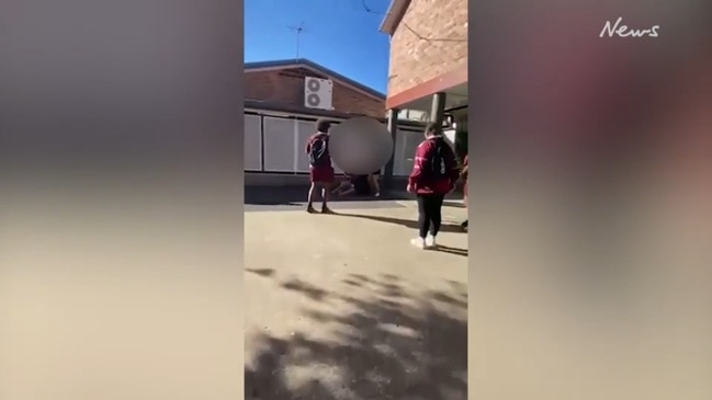 Video captures violent schoolyard brawl at North Rockhampton State High School