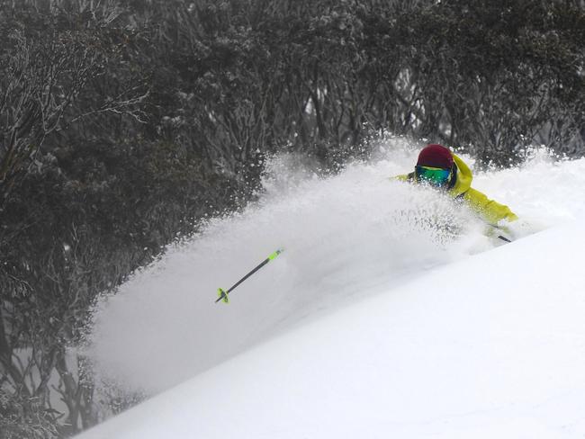 Hotham Alpine Resort has of broken the magical 200cm snow base.