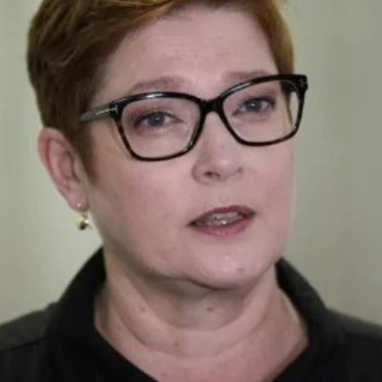 Foreign Affairs Minister Marise Payne described the incident as ‘grossly disturbing, offensive, concerning’. Picture: Sean Davey