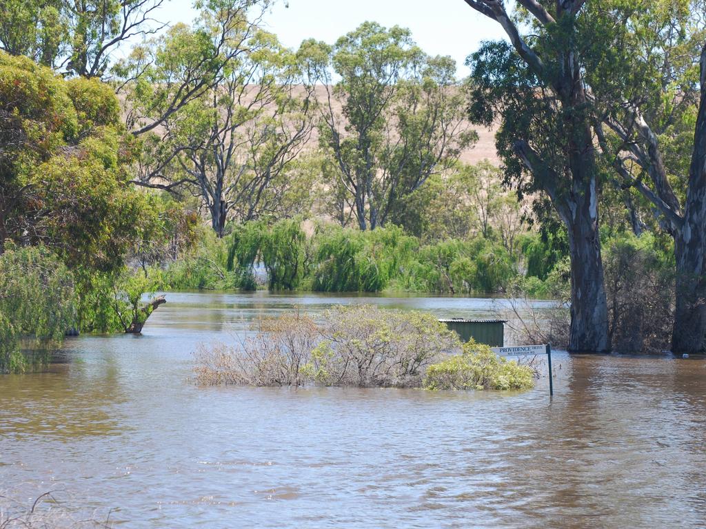 Bowhill. Picture: Jo Schulz