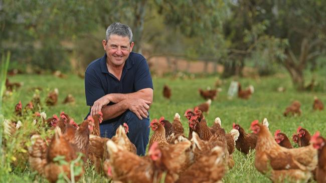 John Rohde quickly found himself meeting the soaring demand for locally sourced eggs from around Australia. Picture: Tom Huntley.