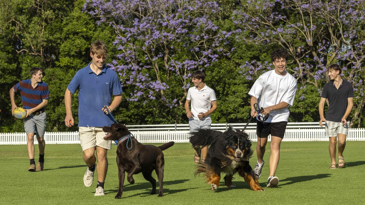 Marist College Ashford students James Johnston, Ewan Wood, George Philp, Jaxon Pambid and Riley Gillece have unplugged for the day. Picture: Richard Walker