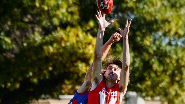 Jacob Bauer’s aerial prowess is attracting attention from AFL recruiters. Picture: Brenton Edwards