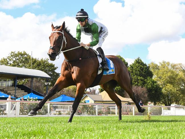 Impressive debut winner Vanishing should be hard to beat despite stepping up in class at Werribee on Monday. Picture: Racing Photos via Getty Images.