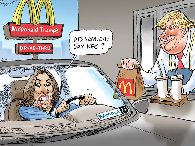 Credit: Mark Knight / Herald Sun