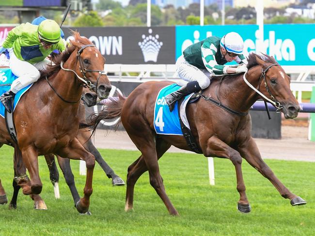 First Settler ridden by Michael Dee wins the Cirka Danehill Stakes at Flemington Racecourse on October 05, 2024 in Flemington, Australia. (Photo by Brett Holburt/Racing Photos via Getty Images)