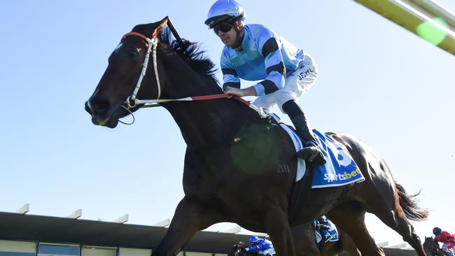 Husk is one of two rides Jennings has for the Hawkes stable at Caulfield on Saturday. Picture: Pat Scala/Racing Photos via Getty Images