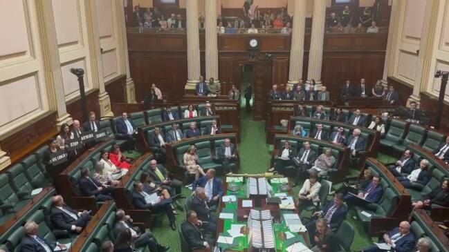 Victorian Greens MPs slammed for anti-Israel stunt