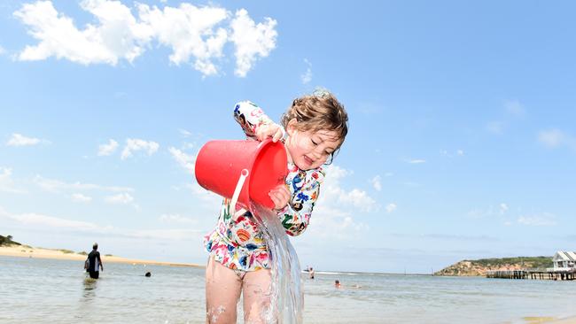Audrey at Barwon Heads beach. Picture: David Smith