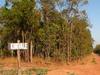 Cape York land clearance defended for economic rewards