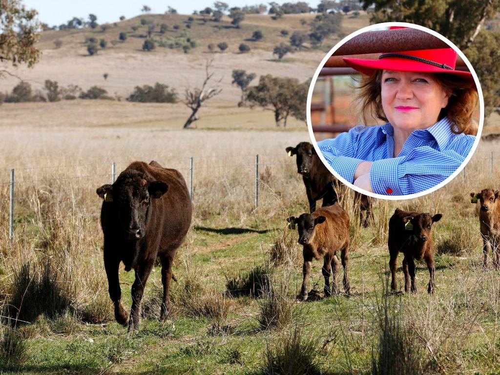 Gina Rinehart grows cattle herd.