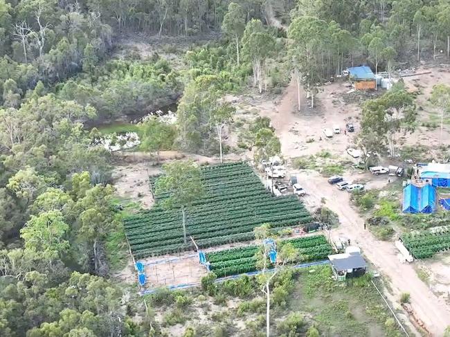 Twenty eight people have been charged after State Drug Squad after three multi-million-dollar cannabis farms were uncovered following investigations under Operation Whiskey Alon in the North Coast and Central Regions.