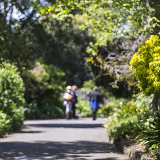 The west has far lower tree cover than other Melbourne regions and experts are calling for more green spaces, such as Footscray Park. Picture: Sarah Matray