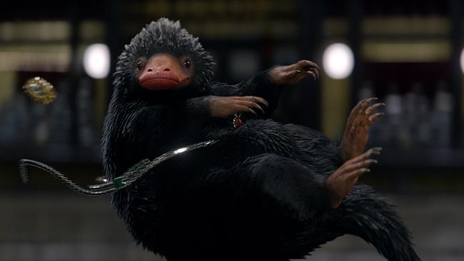 A Niffler in a scene from 2016 film Fantastic Beasts and Where to Find Them. Picture: Warner Bros/Roadshow Pictures