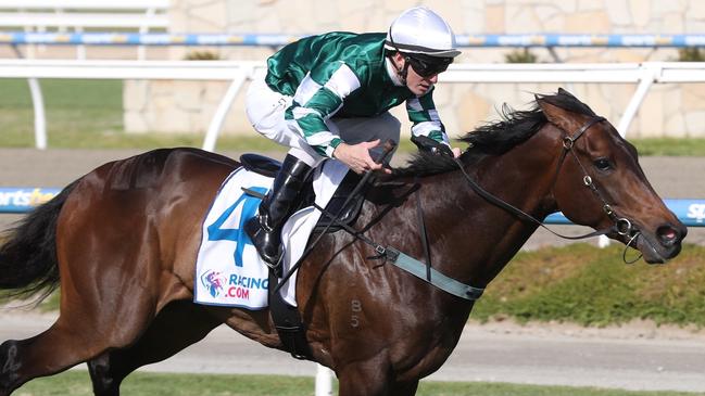 Yulong January can make it five wins in a row in the John Dillon Stakes. Picture: AAP