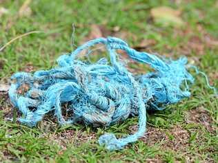 Hay string after being chewed by a beast at Greymare. Picture: Gerard Walsh