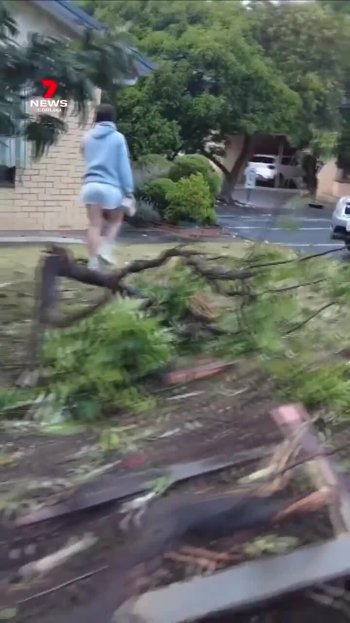 Police hunt for duo after Blackwood crash leaves trail of destruction (7NEWS)