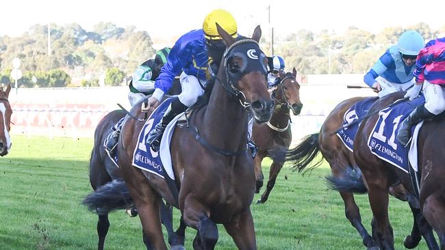 Who Dares and jockey Patrick Moloney will again combine in the first running of The Meteorite at Cranbourne. Picture: Racing Photos via Getty Images