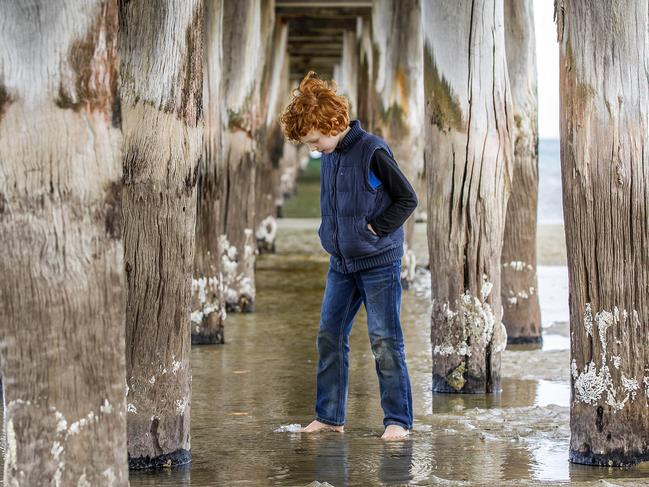 Despite being winter and only 11 degrees, Adam King, 8 has a great time fossicking for shells under the Altona Peir. Picture: Sarah Matray