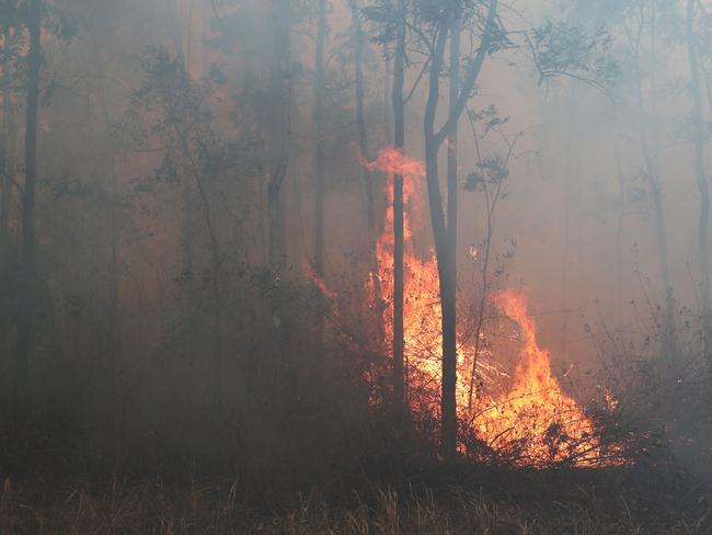 Firefighters battle bushfires in Busbys Flat, northern NSW, Wednesday, October 9, 2019. (AAP Image/Jason O'Brien)