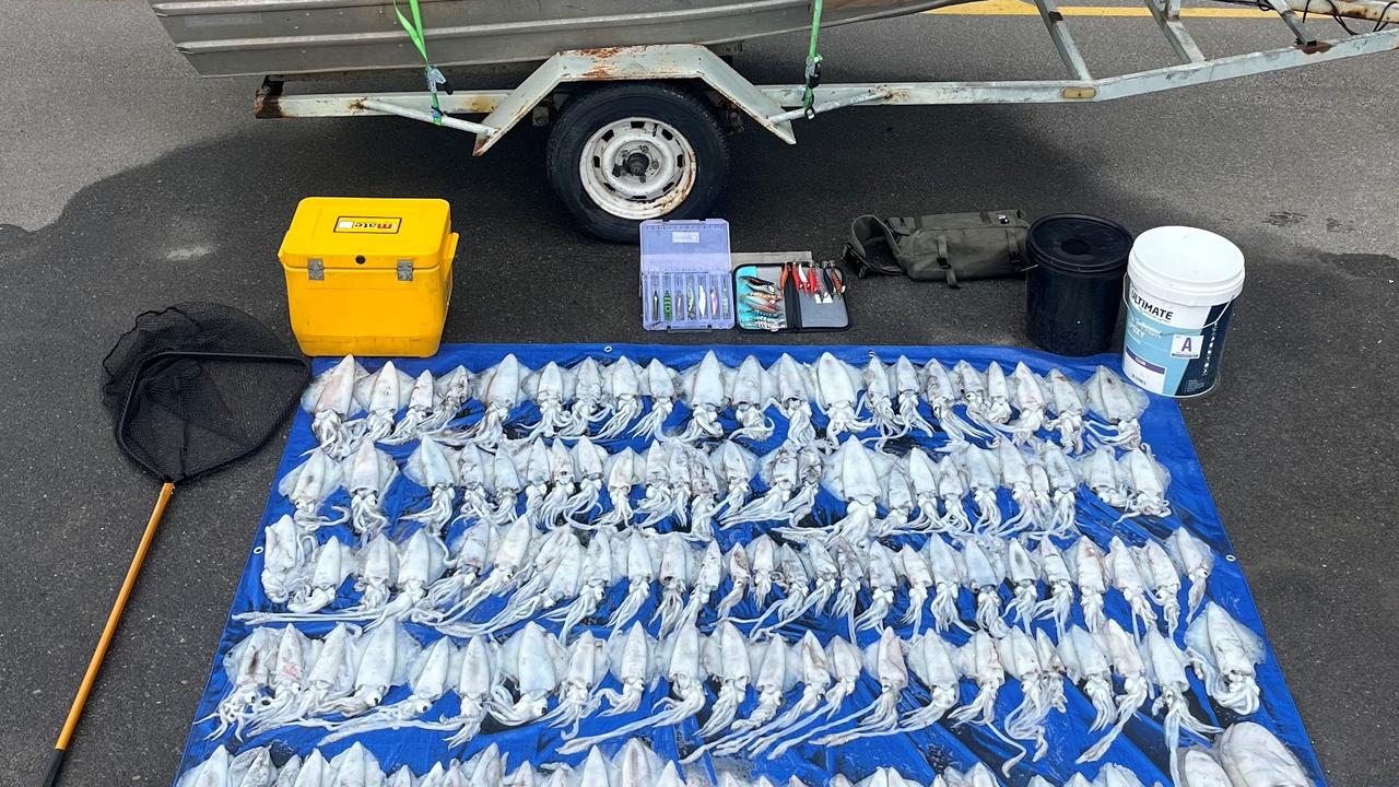 Illegal fishos’ shellfish act deserve book thrown at them