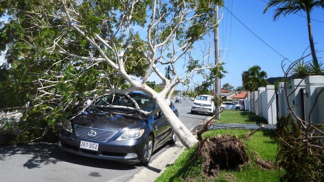 Fallen tree causes major traffic hazards across the road after smashing into a parked motor vehicle at Coomera on the Gold Coast after a massive storm swept through Christmas Night. Picture: NCA NewsWire / Scott Powick