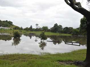 McKenzie Park pictured at the weekend. Picture: Cathy Adams